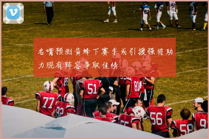 名嘴预测黄蜂下赛季或引援强将助力现有阵容争取佳绩